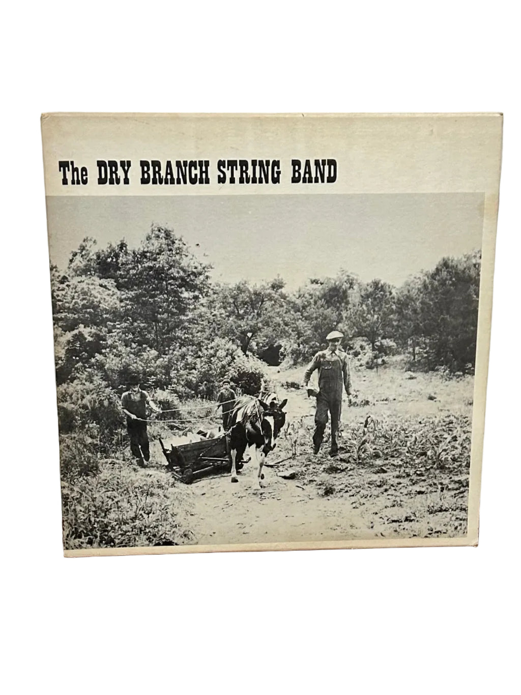 Vintage, The Dry Branch String Band, 33 RPM Record