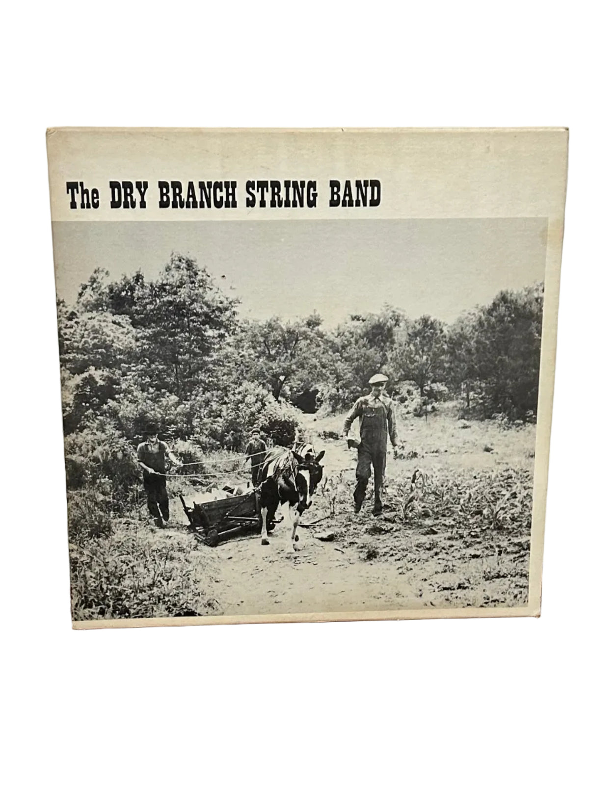 Vintage, The Dry Branch String Band, 33 RPM Record