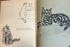 Vintage, Hiram and other Cats