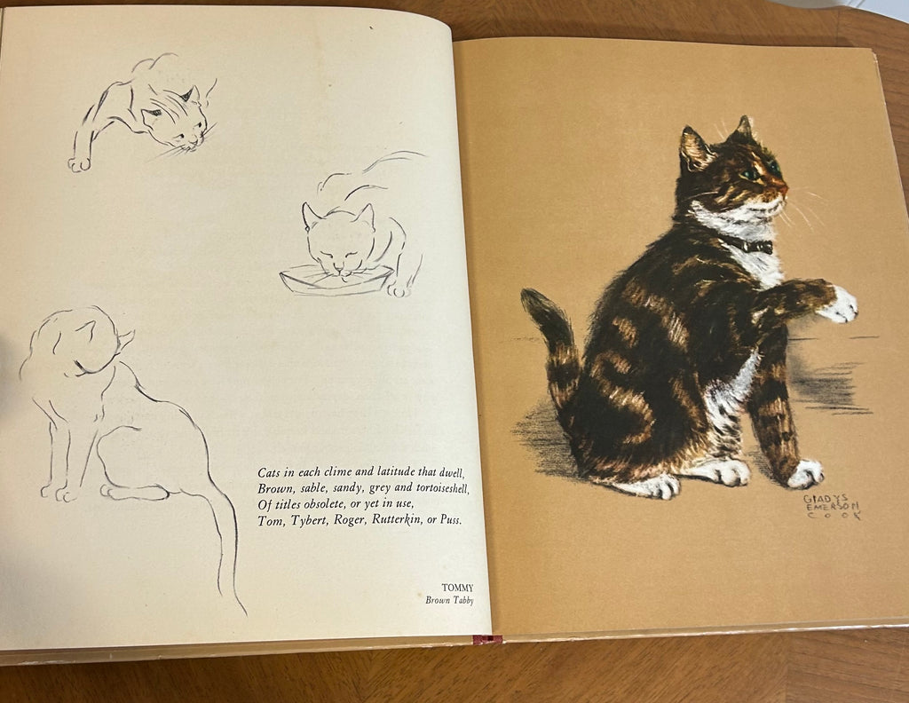 Vintage, Hiram and other Cats