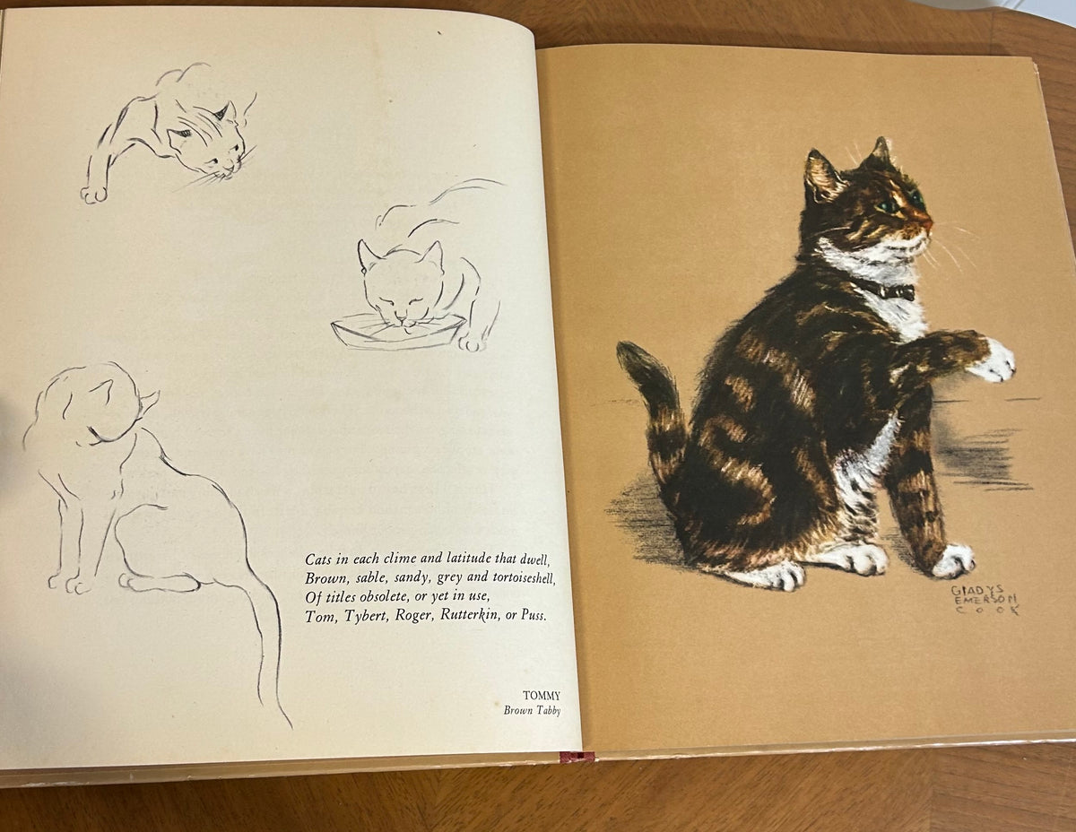 Vintage, Hiram and other Cats