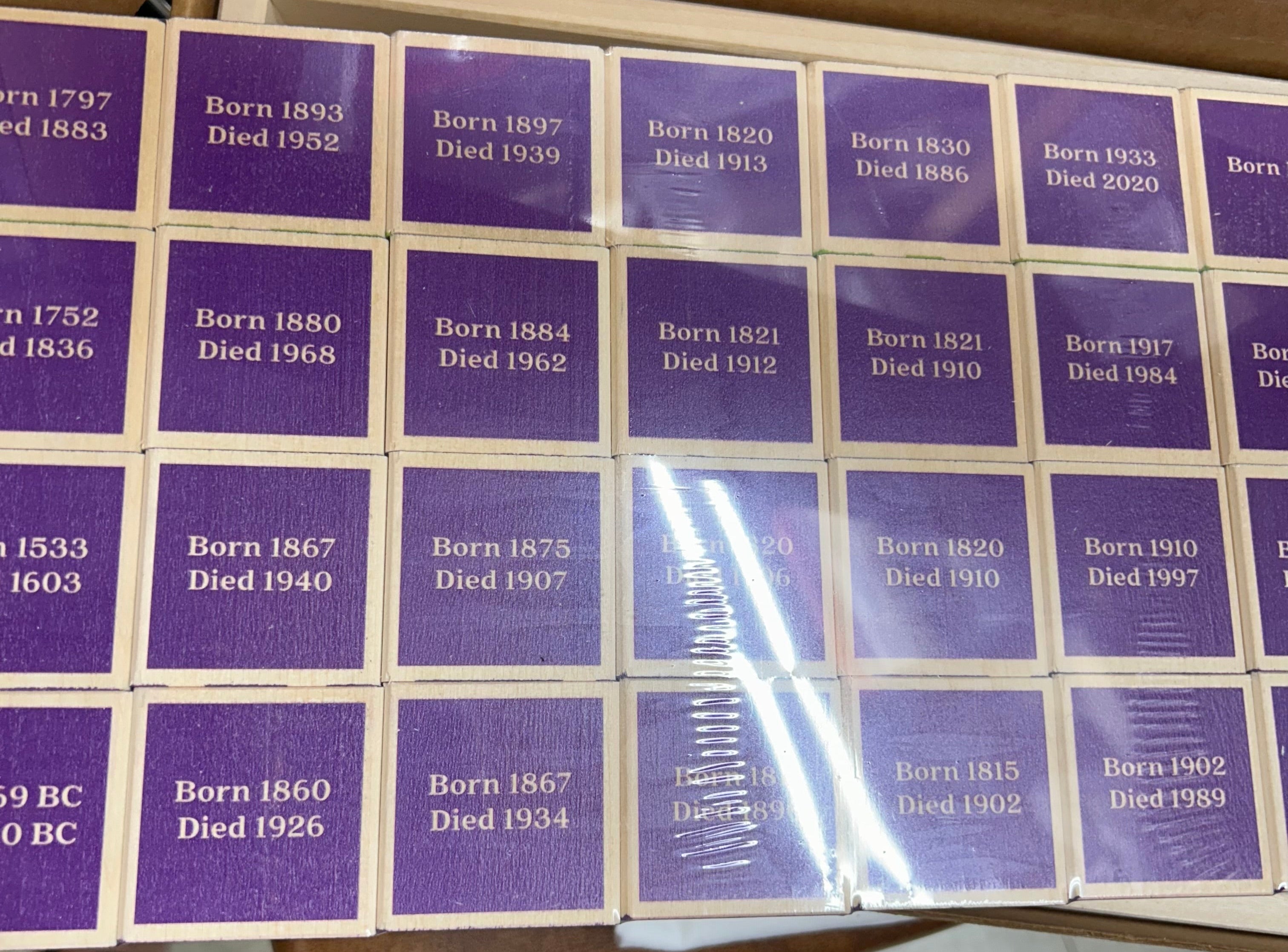 Uncle Goose, "Women Who Dared", Educational Game