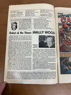 Vintage Comic, Haunt of Fear