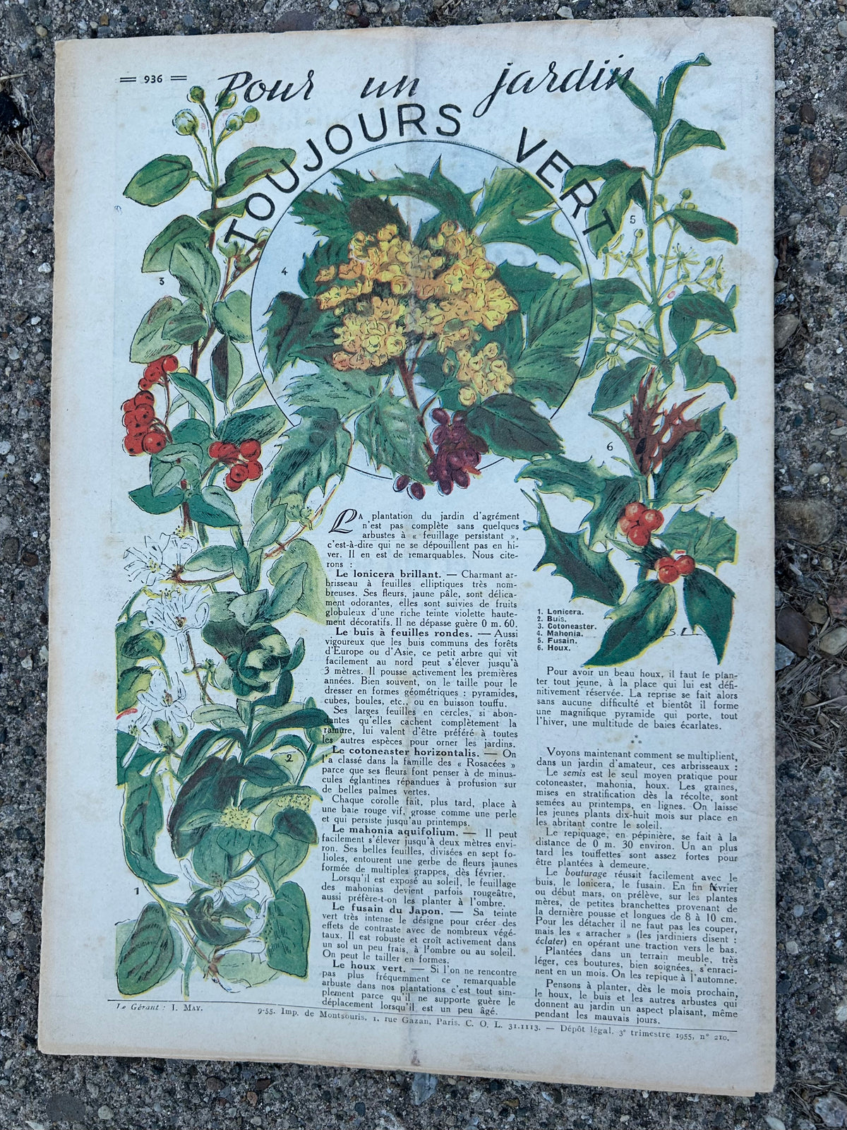 Rustica, Vintage French magazine