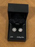 Diamond/SS Earrings