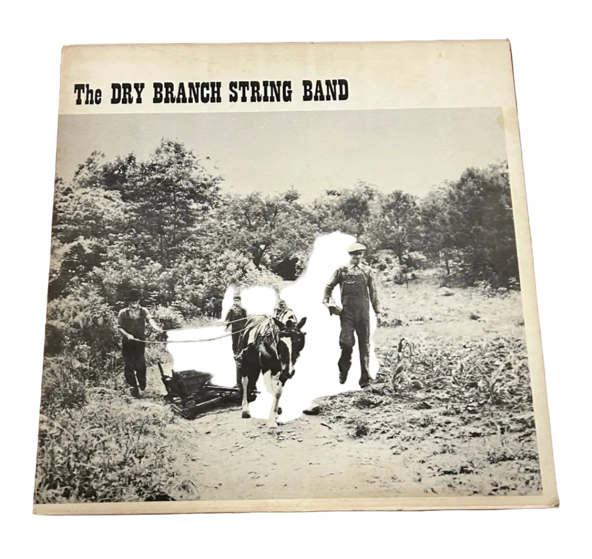 Vintage, The Dry Branch String Band, 33 RPM Record