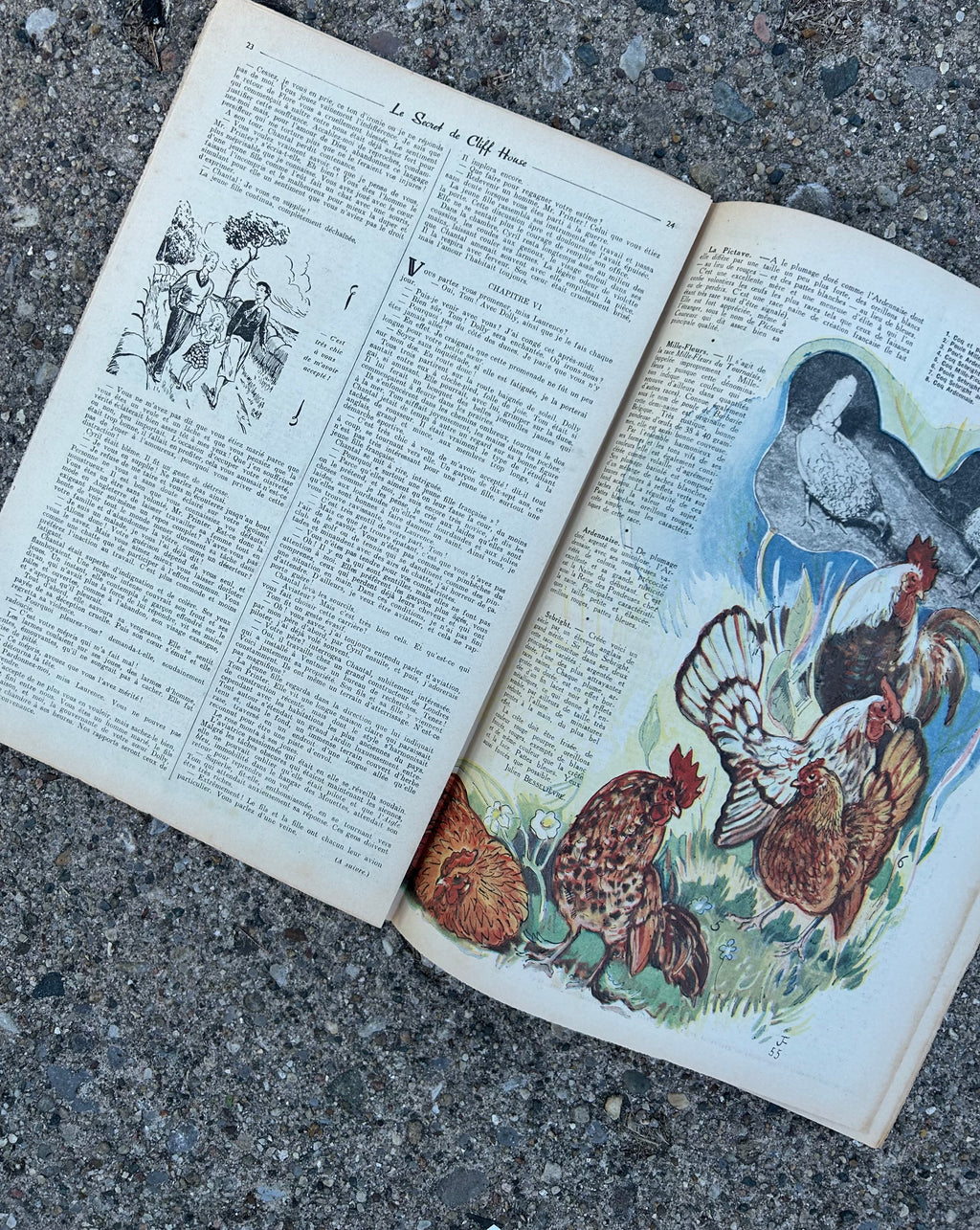 Rustica, Vintage French magazine