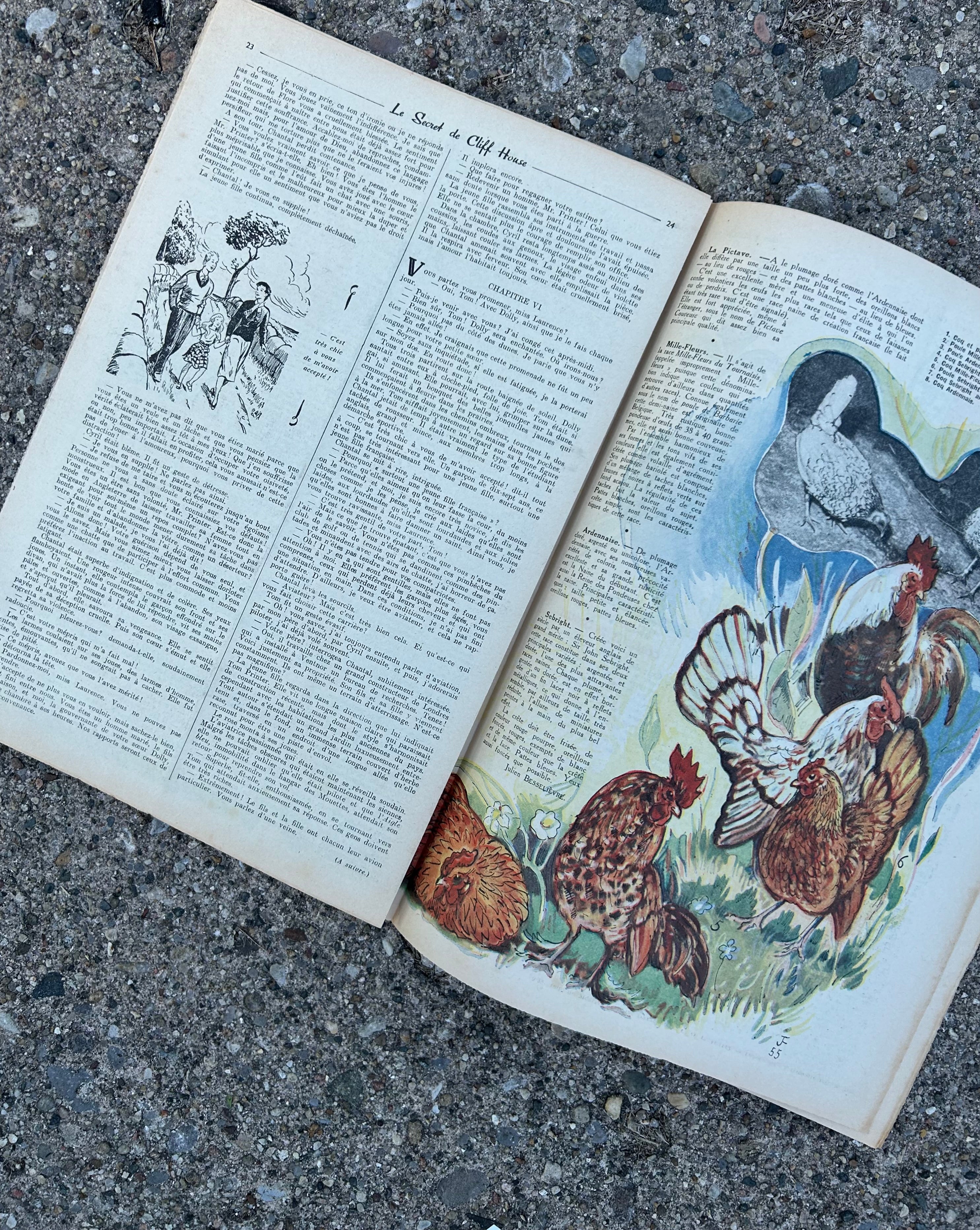 Rustica, Vintage French magazine