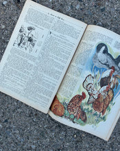 Load image into Gallery viewer, Rustica, Vintage French magazine
