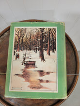 Load image into Gallery viewer, Hans Brinker The Silver Skates

