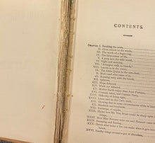 Load image into Gallery viewer, BOOK-Wide wide world by Susan Warner, vintage book

