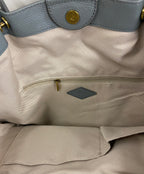 Fossil Handbag